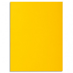 EXACOMPTA Paquet de 30...