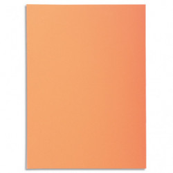 EXACOMPTA Paquet de 100...