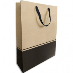 Paquet de 10 sacs bouteille...