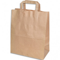 Colis 250 Sacs 26+14x30 cm...