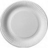 Lot 100 Assiettes &Oslash; 23 cm rondes en carton blanc 2323100ASS