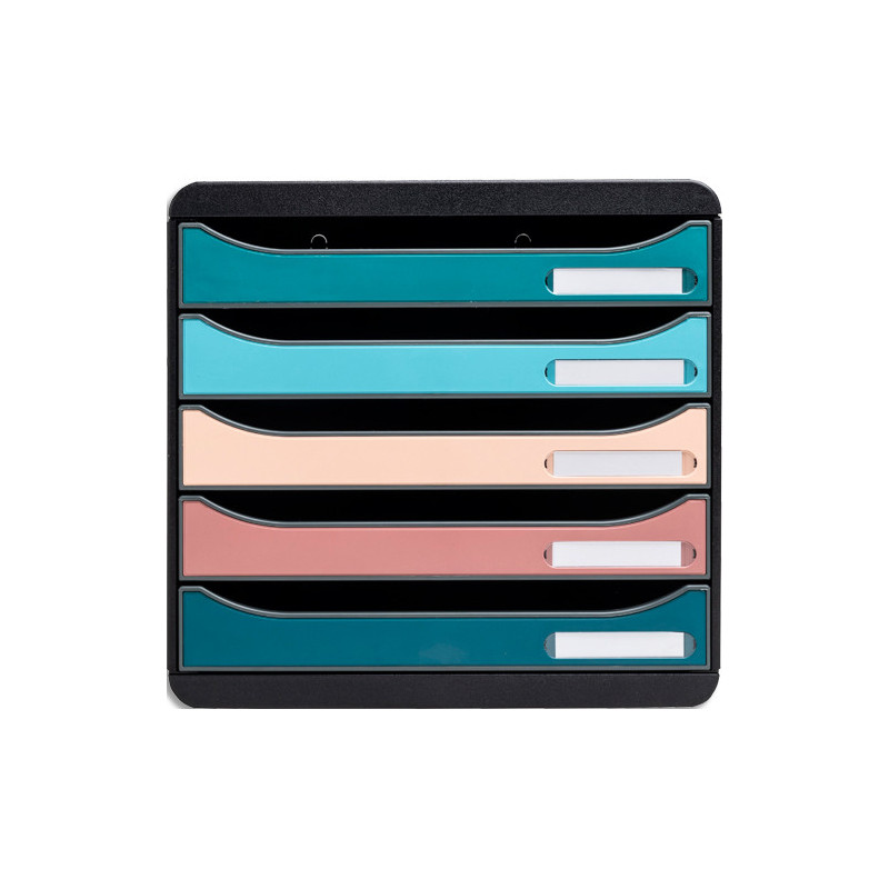 EXACOMPTA Module de classement Big Box Plus 5 tiroirs SKANDI