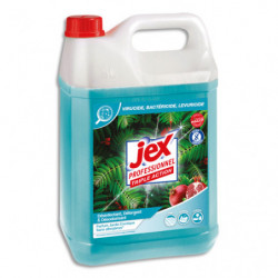 JEX PROFESSIONNEL Express...