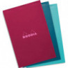 RHODIA Bloc de direction 160 pages n&deg;19 21x31,8cm 5x5. Couverture assortie