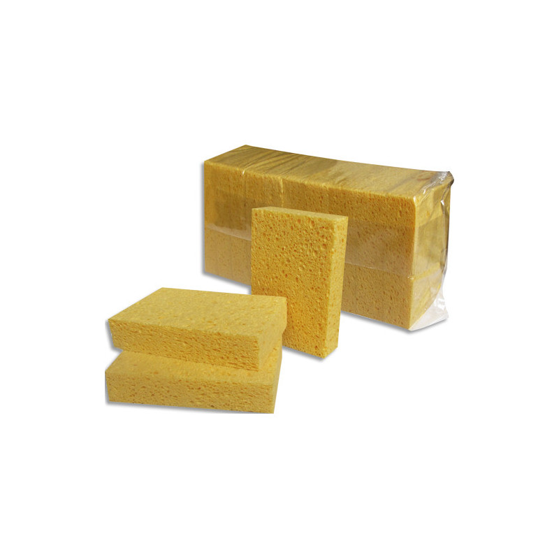 Eponge végétale non bordée n&deg;6 HE061