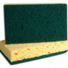 Eponge abrasive verte 11x6,7 cm, lot de 2 JT044