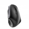 CHERRY SOURIS ERGONOMIQUE MW 4500 SS FIL