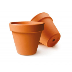 Pot de fleurs graine...