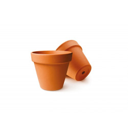 Pot de fleurs graine...