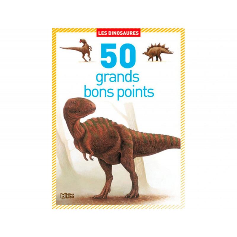 Bon point editions lito les dinosaures 120x140mm boite 50 unites