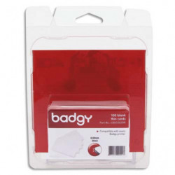EVOLIS Badgy Lot 100 de...