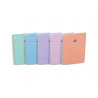 Cahier oxford smart spirale 4 trous 230x297mm 160 pages optik paper seyes coloris pastel assortis
