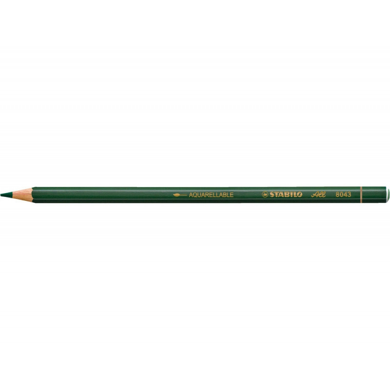 Crayon marqueur stabilo all aquarellable multi-surfaces coloris vert