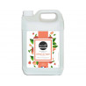 Savon liquide boldair glycérine parfum pêche de vigne bidon 5 l