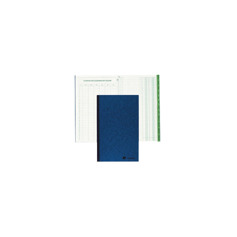 Manifold exacompta piqué 195x320mm 80 pages recettes dépenses