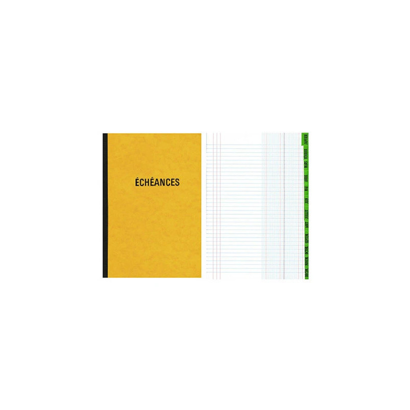 Registre standard elve piqué a4 210x297mm échéancier 100 pages