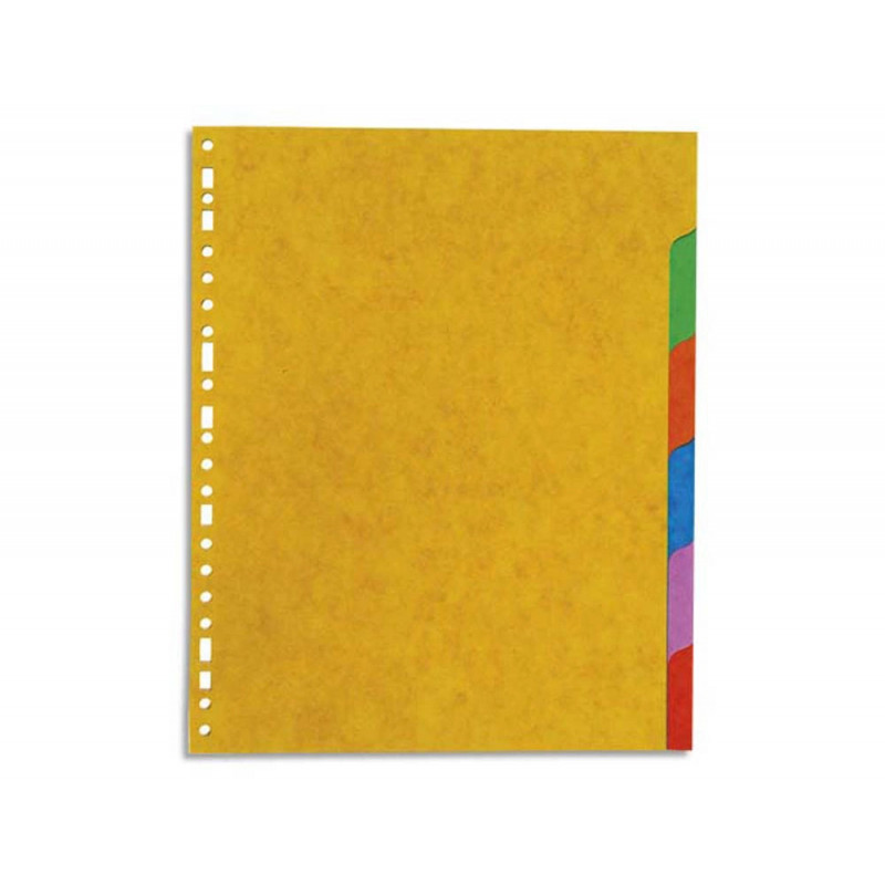 Intercalaire exacompta carte marbrée recyclée 220g 6 positions xxl coloris vifs