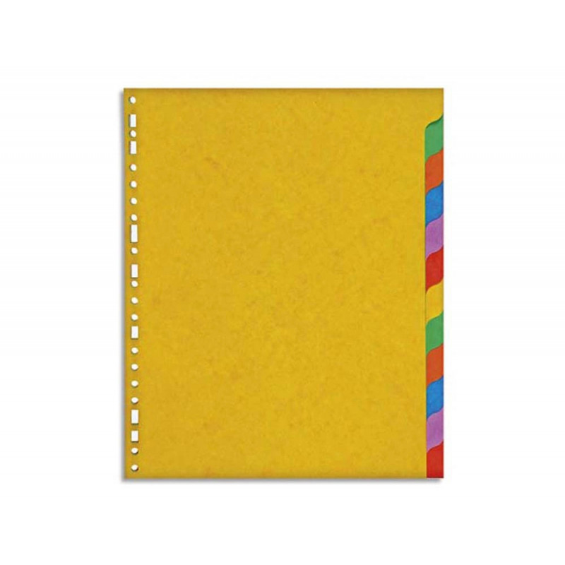 Intercalaire exacompta carte marbrée recyclée 220g 12 positions xxl coloris vifs