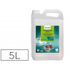 Liquide vaisselle enzymatique formule professionnelle degraissante bidon 5l