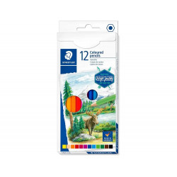 Crayon de couleur staedtler...