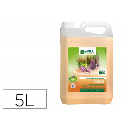 Detergent desinfectant le...