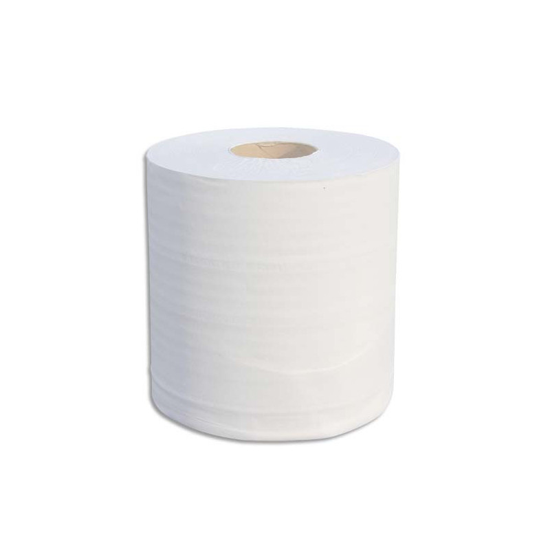 Lot de 6 Bobines d'essuyage 2 plis 700 formats 25 x 19,5 cm - L175 m, bobine D19,5 cm Blanc Eco