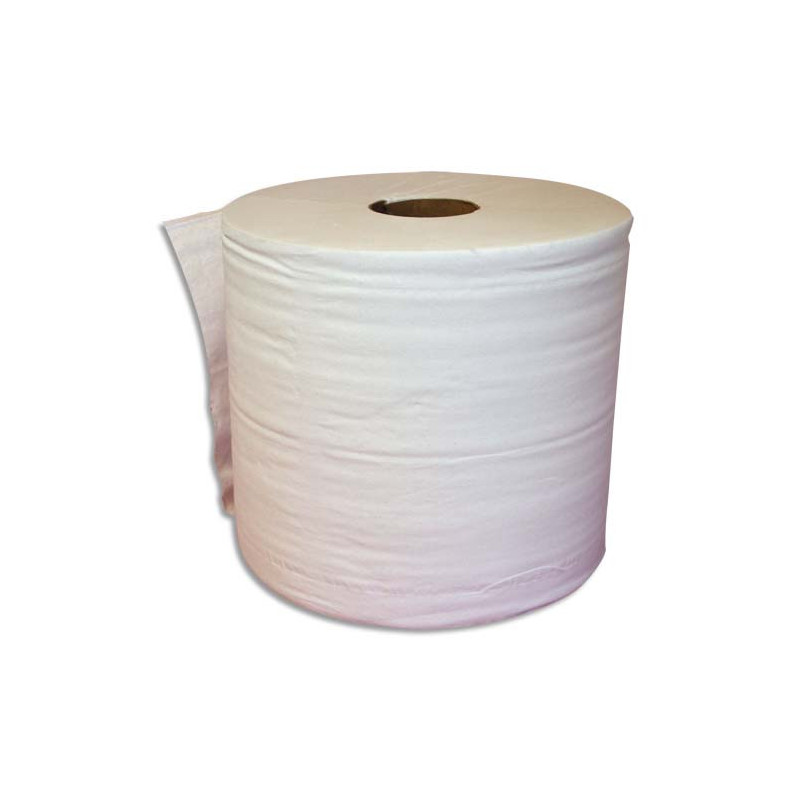 Lot de 2 Bobine d'essuyage 2 plis 1000 formats 30 x 21 cm - L300 m, bobine D25 cm Blanc Eco