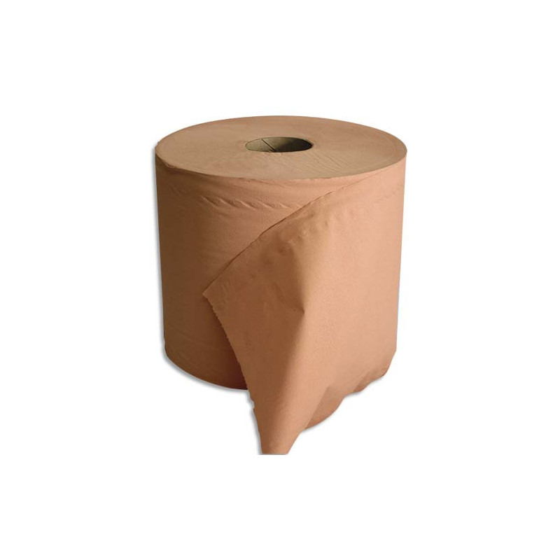 Lot de 2 Bobine d'essuyage 2 plis 1000 formats 30 x 21 cm - L300 m, bobine D25 cm chamois Eco