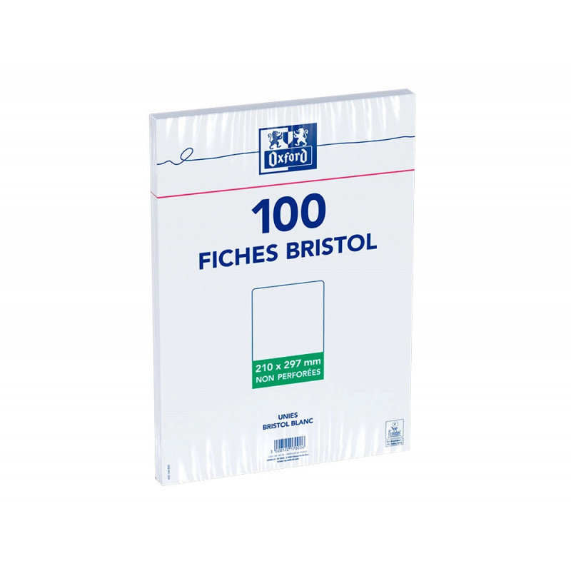 Fiche bristol universelle 210x297 bloc sac h.100