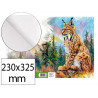 Bloc papier dessin liderpapel natura spirale 230x325mm 130g/m2 sans encadrement microperfore 20 feuilles