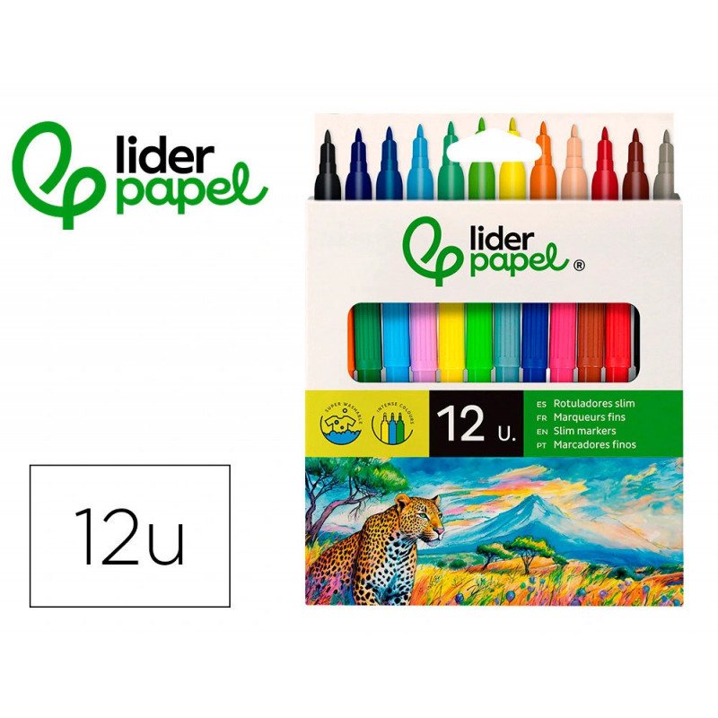 Feutre coloriage liderpapel slim longueur écriture 800m pointe nylon 2mm diamètre étui carton 12 unités