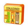 Jeu interdacta conjudingo ce1 107 cartes reversibles + 1 regle du jeu + rappel des conjugaisons