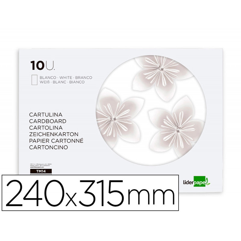 Bloc papier dessin liderpapel 240x315mm 180g/m2 10f coloris blanc