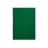 Couverture exacompta grain cuir recycle a4 270g coloris vert paquet 100 unites