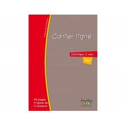 Cahier hamelin serpodile...