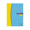 Cahier hamelin serpodile 17x22 cm 48 pages double ligne 3mm niveau 3