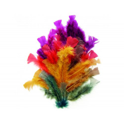 Plumes automne graine...