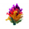 Plumes automne graine creative sachet de 25g 200 unites