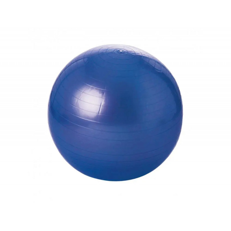 Ballons geants tremblay balle gymnique pvc regonflable differentes tailles poids maxi 100 kg 55 cm