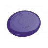 Lancer fabio frisbee seul ou a plusieurs plastique 23cm 100 g