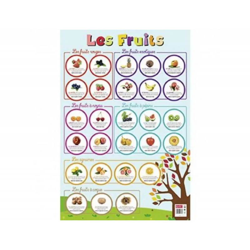 Posters souples bouchut les fruits supports ludiques materiau souple 150g 52x76 cm
