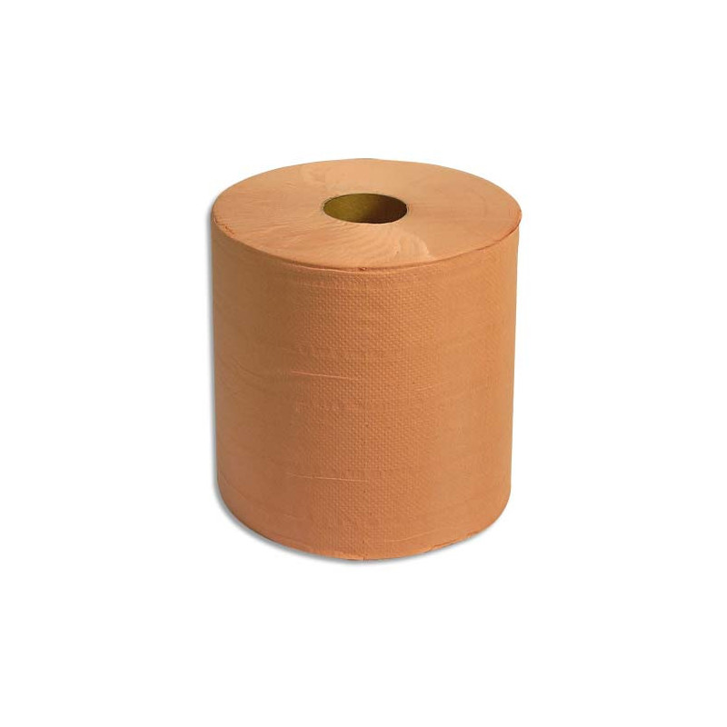 Lot de 2 Bobines d'essuyage 800 formats chamois 2 plis gaufrée - Format : 30 x 21 cm