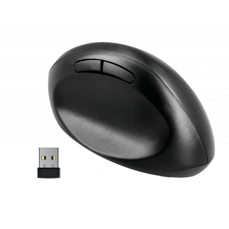 Souris q-connect optique sans fil ergonomique vertical dpi 800/1200/1600 piles aa coloris noir
