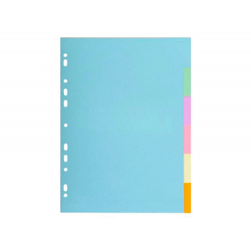Intercalaire exacompta carte forte recyclee 170gr 17x22cm 6 positions coloris pastel