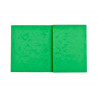 Protege-cahier exacompta carte lustree 225gr 17x22cm coloris vert lot 10 unites