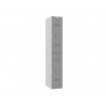 Casier personnel phoenix serie pl pl1230ggk serrure a cle coloris gris