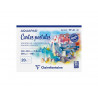 Bloc clairefontaine aquapad cartes postales a6 20 feuilles 300g verso pre-imprime
