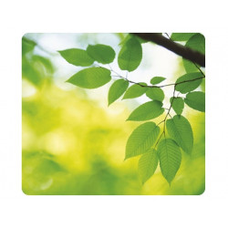 Tapis souris fellowes earth...