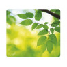 Tapis souris fellowes earth séries écolo surface résistante base antidérapante décor feuilles