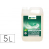 Detergent desinfectant le vrai professionnel bactopin tous types de surfaces collectivites milieux